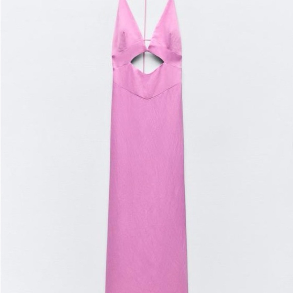 Elegant Pink zara Maxi Dress